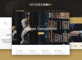 Gudrend Lawyer Consultation WordPress Theme